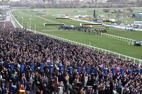cheltenham day 1 results|Cheltenham 2024 Tuesday results in full: Every winner from Day .